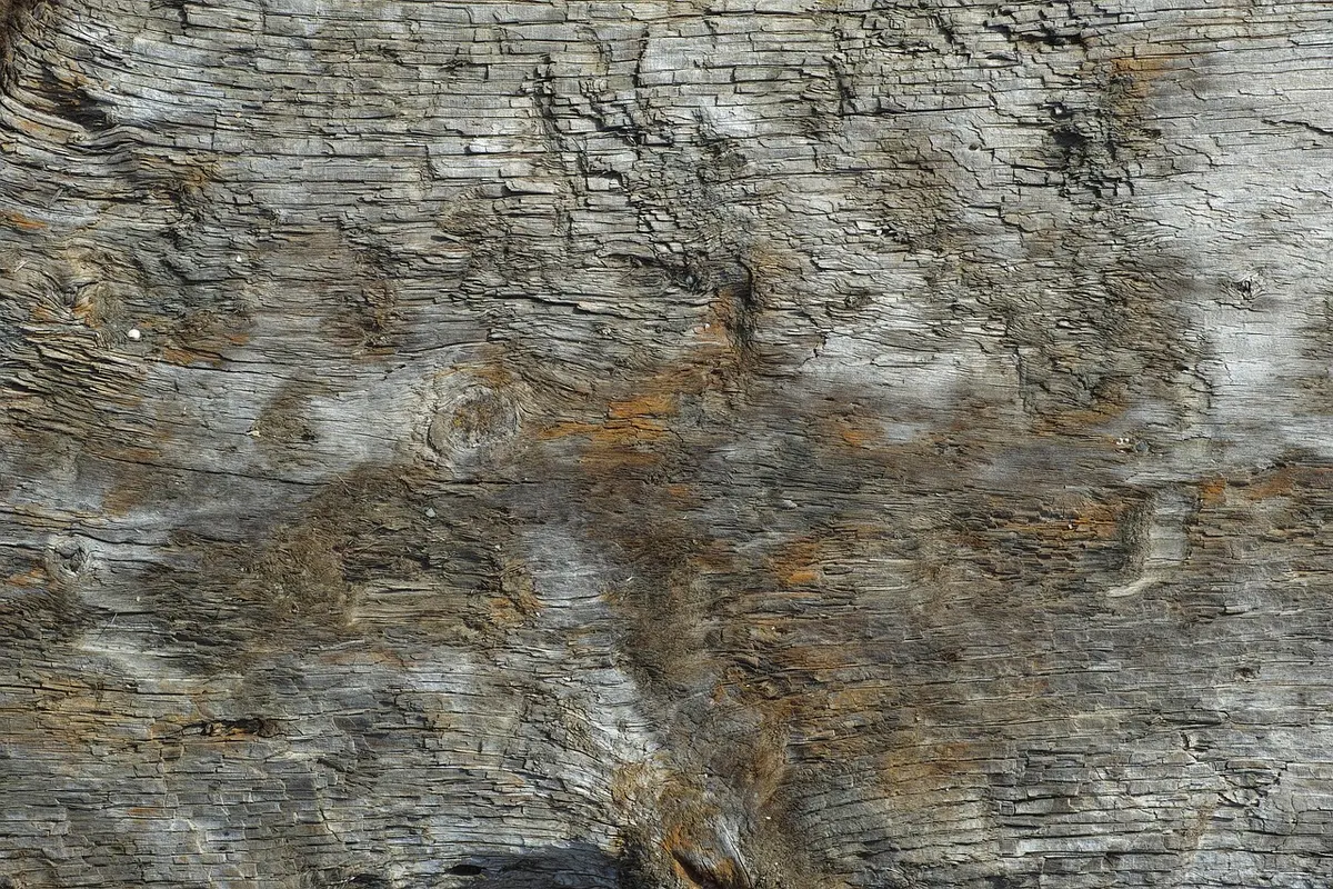 boleto hapvida com cpf