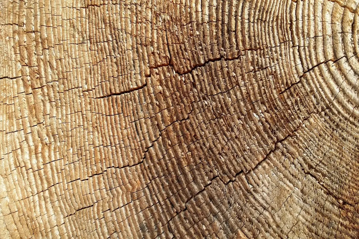 como baixar fatura da vivo