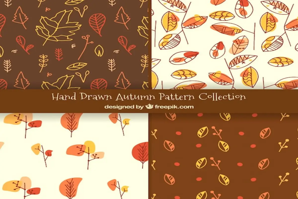 cursinho para concurso em ananindeua