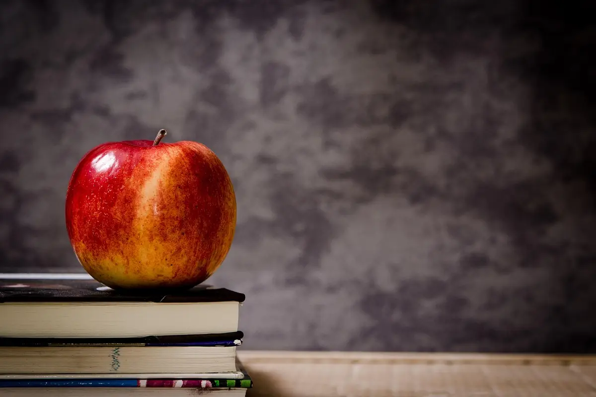 melhores cursos de inglês em piracicaba