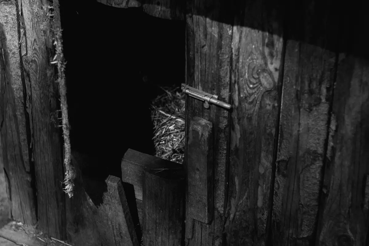 melhores hotéis para pets em piracicaba