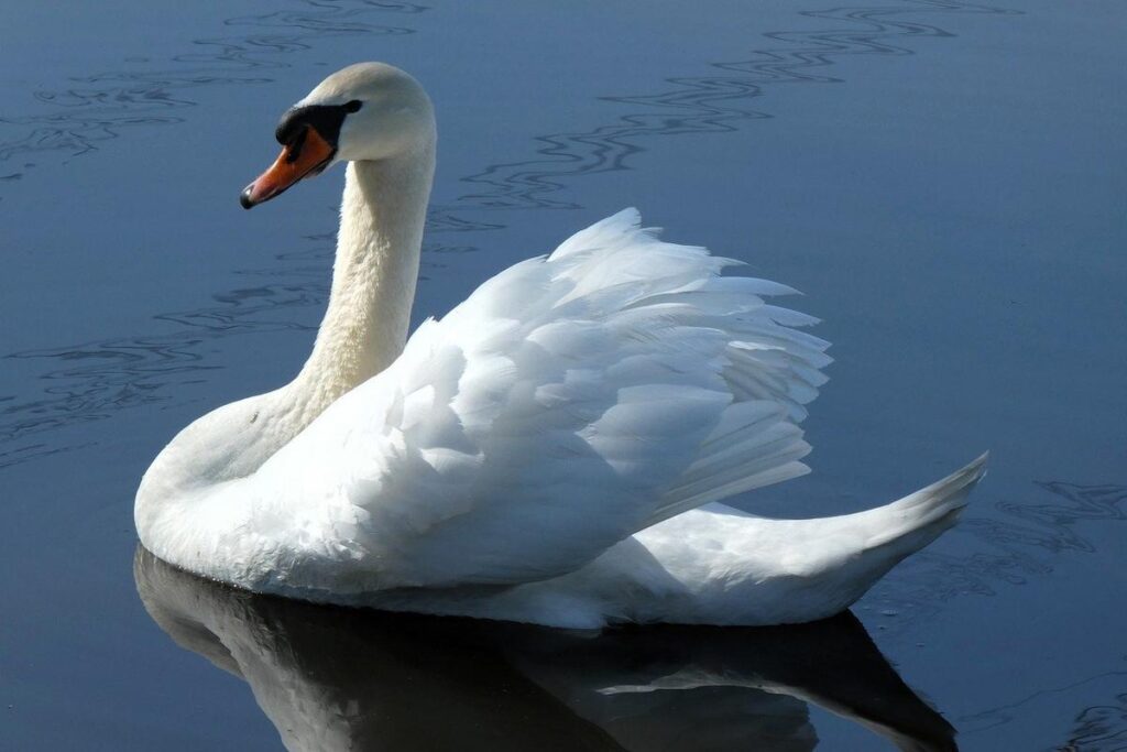 Os hábitos diários que estão te envelhecendo sem você perceber