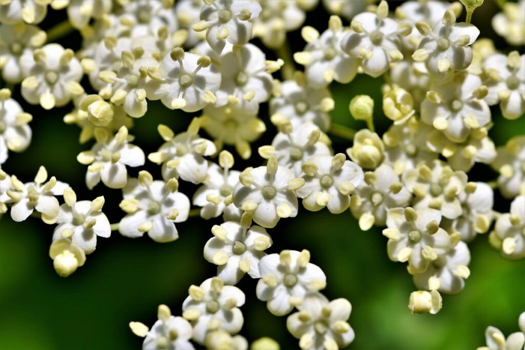 Suportes de plantas em crochê: o toque natural que está dominando a decoração boho