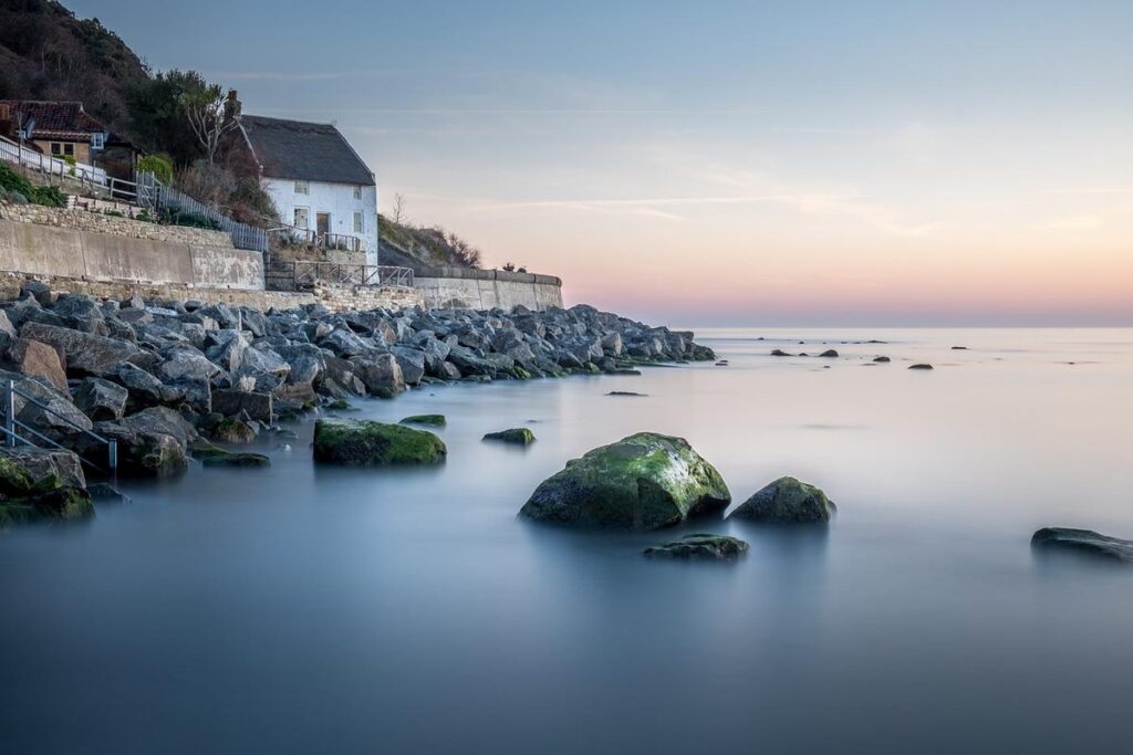 O costume mais poderoso com folhas de louro para proteger sua casa segundo o Feng Shui
