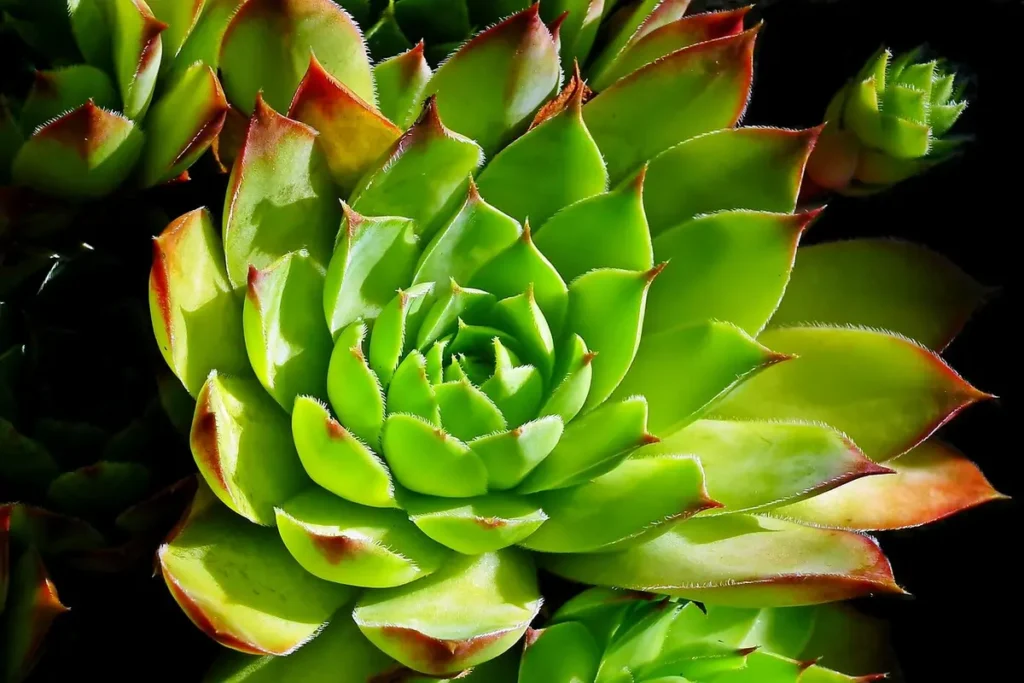 Referências Exemplo: Entenda o Significado e Aplicação SEO