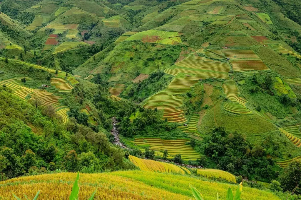 Inscrição Usina Alto Alegre 2023: Tudo o Que Você Precisa Saber