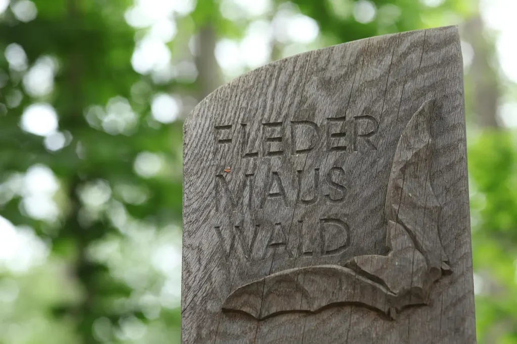 Morcego Gigante da Austrália Tamanho Entenda o Tamanho Real do Maior morcego do mundo