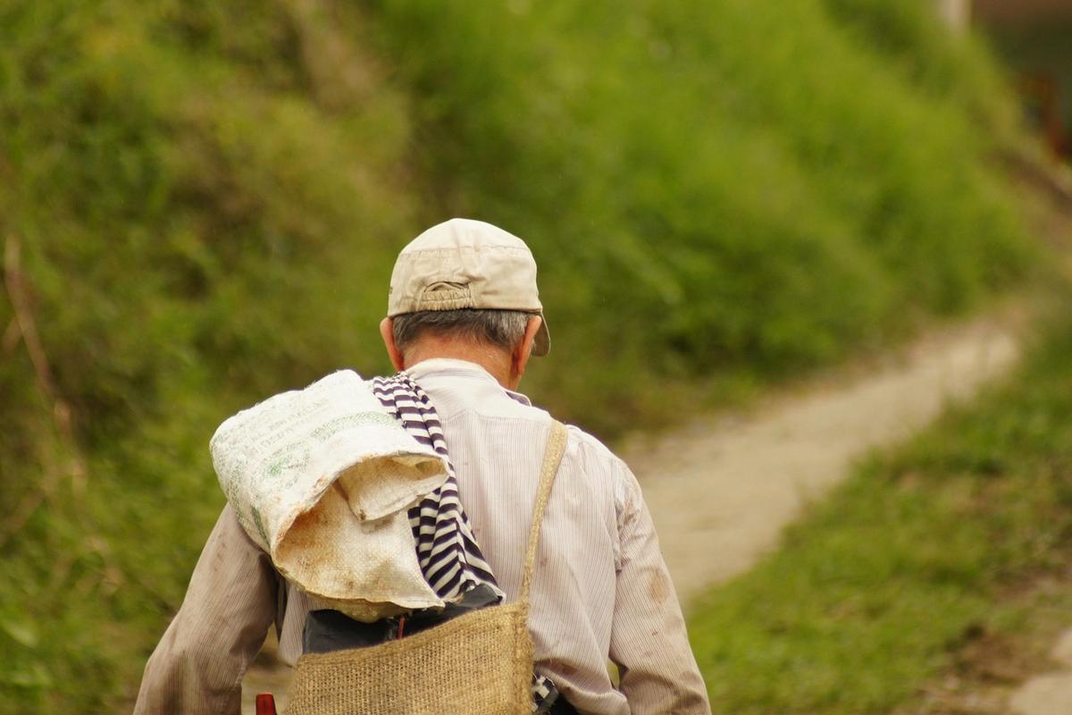 5 dicas para escolher a cafeteira elétrica ideal para você