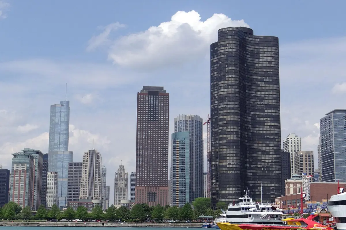 Melhores empresas de poda de árvores em Piracicaba: Top 10 que você precisa conhecer