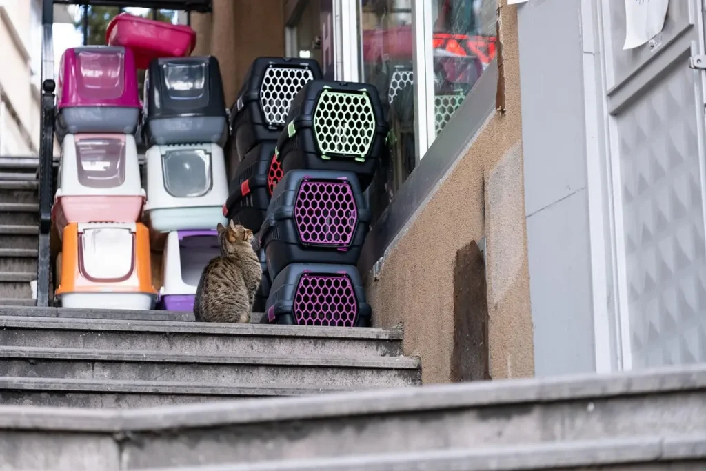 Melhores pet shops especializados em rações premium em Piracicaba: Top 10 que você precisa conhecer