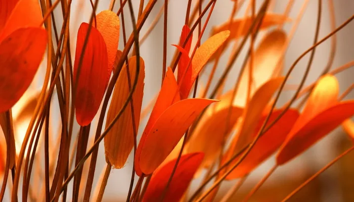 103 15 Vivo Entenda Seu Significado no Glossário