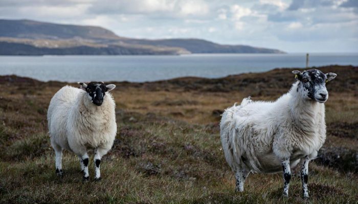 5 atitudes que fortalecem o amor mesmo após anos juntos