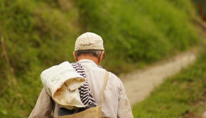 5 dicas para escolher a cafeteira elétrica ideal para você