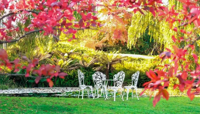 5 dicas para ter seu jardim decorado em todas as estações