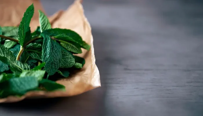 A erva natural que ajuda a controlar o açúcar e turbina a memória