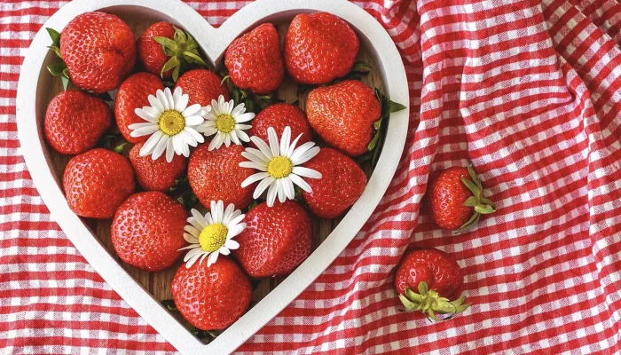 Cartao Senff Aceita Onde Entenda Onde Usar Seu Cartão Senff