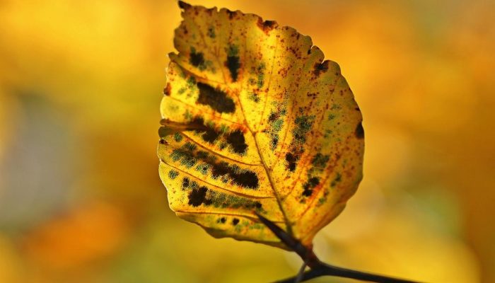 Como o clima de outubro pode influenciar sua conta de energia
