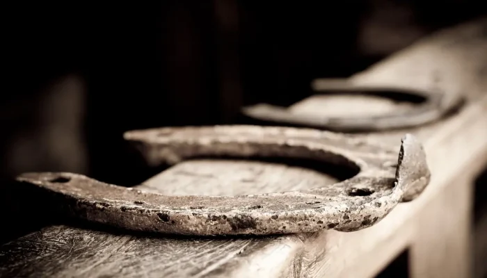 Cras Ferradura Mirim Entenda o Significado e Funções