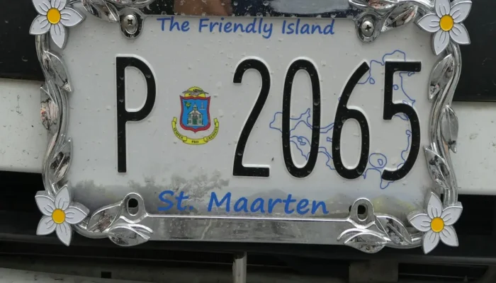 Detran ES Número: Entenda o Que É e Como Consultar