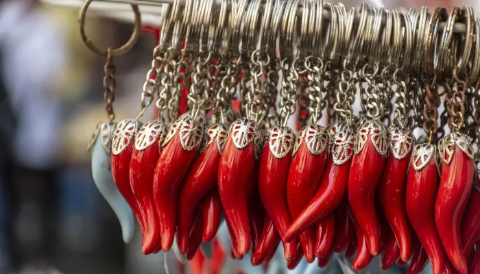 Fortuna Fabio Giga: Entenda o Significado no Glossário