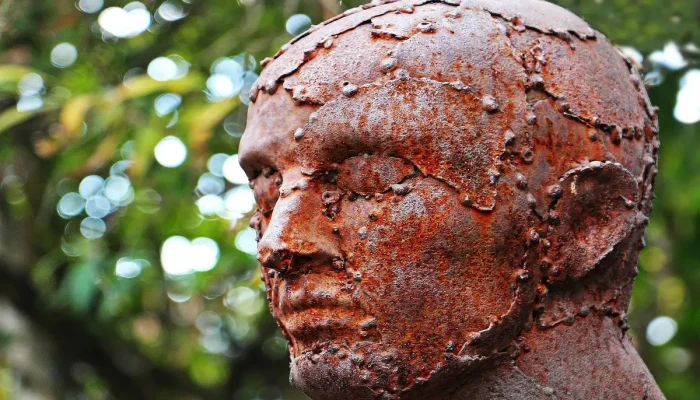 Fotos de Perfil da Netflix: Tudo o Que Você Precisa Saber