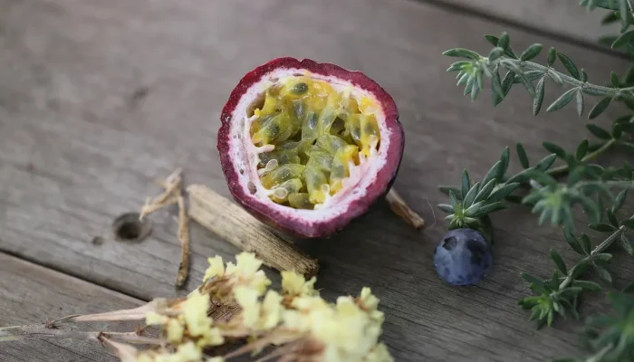 Grávida pode tomar suco de maracujá Entenda os benefícios e riscos