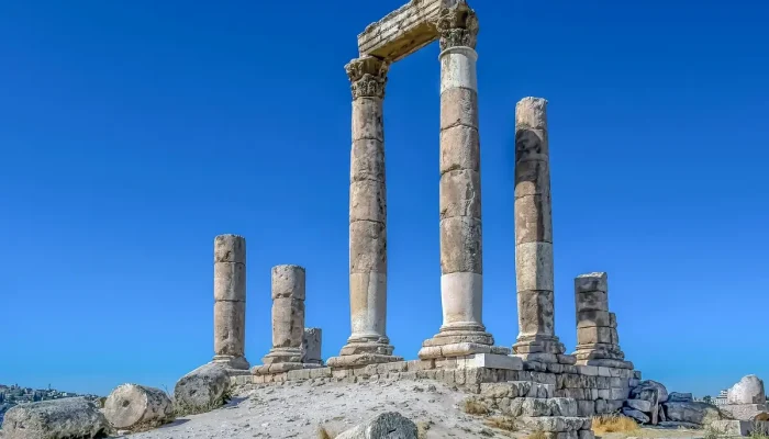 Hpg Site: Tudo o Que Você Precisa Saber