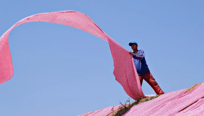 Hydro.com Vagas: Entenda Como Funciona e Oportunidades Disponíveis