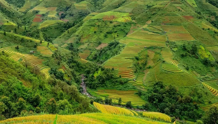 Inscrição Usina Alto Alegre 2023: Tudo o Que Você Precisa Saber