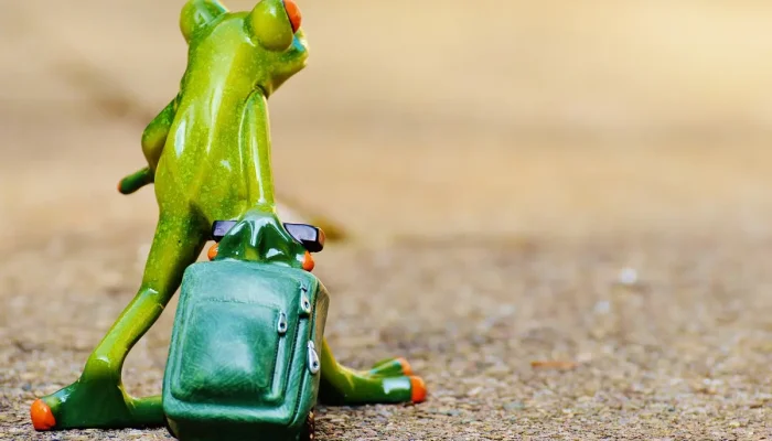 Melhores agências de turismo em Piracicaba: 10 opções imperdíveis para sua viagem