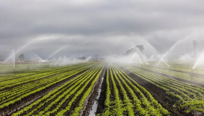 Melhores empresas de irrigação em Piracicaba: 10 opções que você precisa conhecer