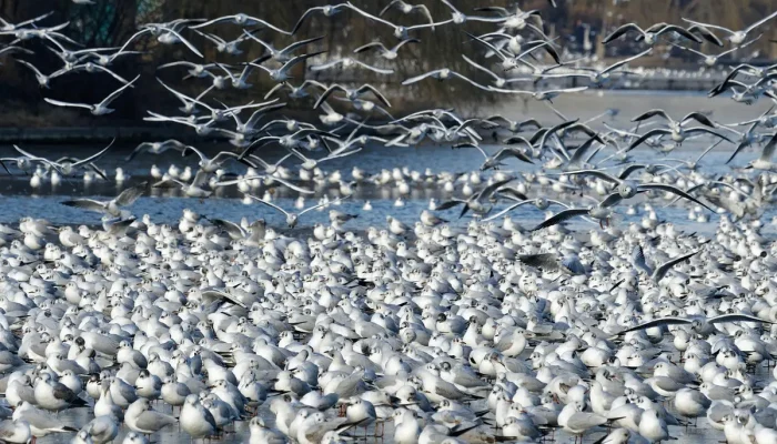 Melhores estacionamentos em Piracicaba: 10 opções imperdíveis para você