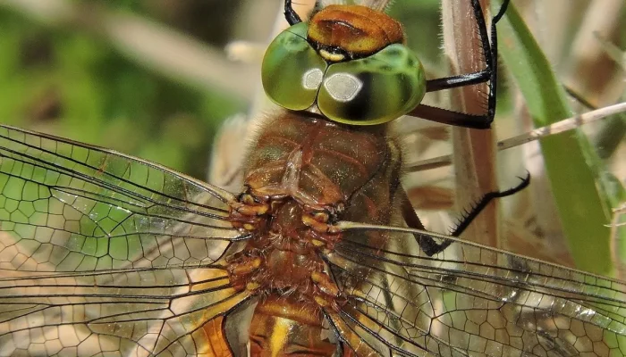 Melhores vidraceiros em Piracicaba: 10 profissionais que você precisa conhecer