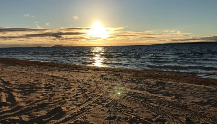 Memes Bahia: Entenda o Que São e Como Surgiram