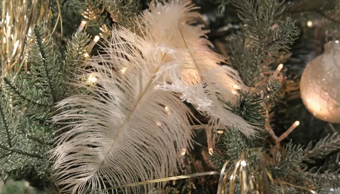 Nomes De Quadrilhas Juninas Engraçados: Ideias Divertidas Para Se Inspirar