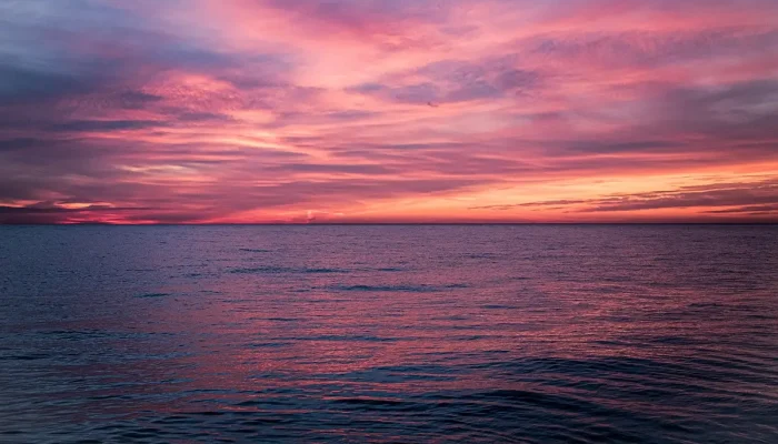 Nomes Para Festas Sunset: Ideias Criativas para Seu Evento