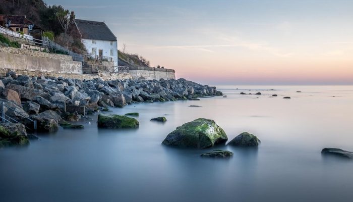 O costume mais poderoso com folhas de louro para proteger sua casa segundo o Feng Shui