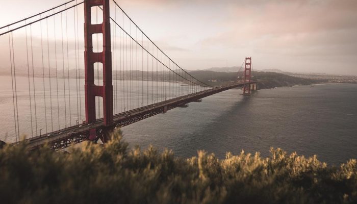 O truque com folhas de louro que perfuma roupas de forma natural e sem químicos