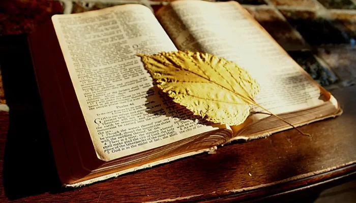 Quantas páginas a Bíblia tem Entenda Agora
