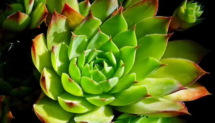 Referências Exemplo: Entenda o Significado e Aplicação SEO