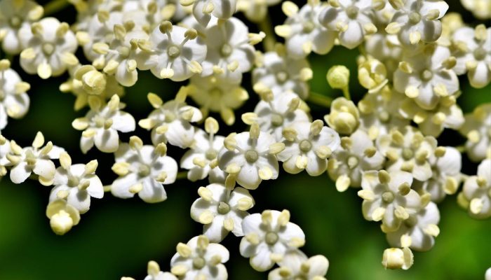 Suportes de plantas em crochê: o toque natural que está dominando a decoração boho