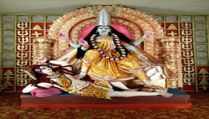 Top 10 Maiores Animais Entenda Quem São os Gigantes do Reino Animal