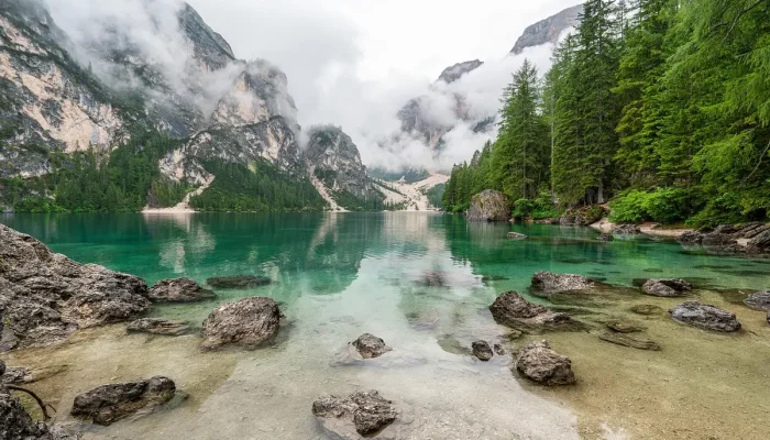 Translaguna Rastreio Entenda o Que É e Como Funciona