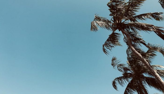 Alagoas bate recorde de crescimento e conquista novos voos internacionais para a temporada de turismo